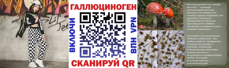 Псилоцибиновые грибы мицелий  Щучье 